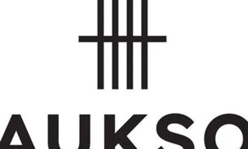 Aukso