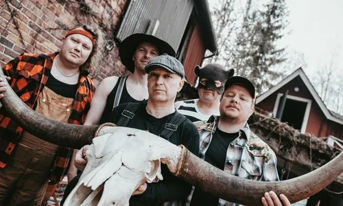 Steve 'n' Seagulls