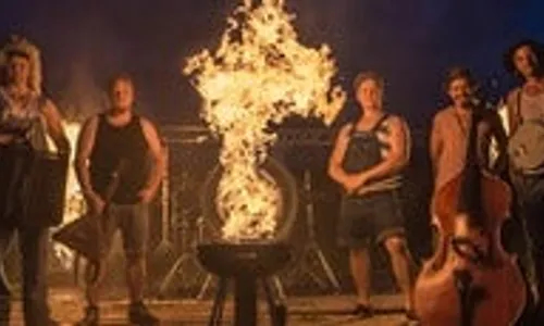 Steve'n'seagulls