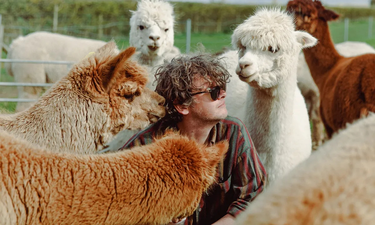 Bill Ryder-Jones