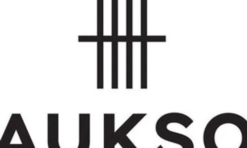 Aukso