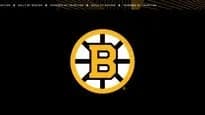 Boston Bruins