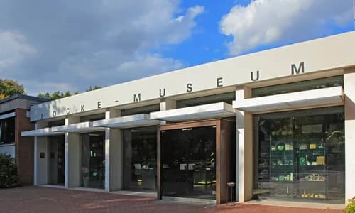 Focke-Museum