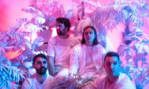 Meltt