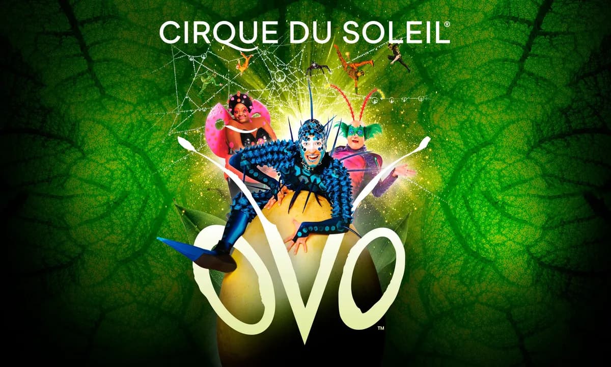 OVO Cirque du Soleil