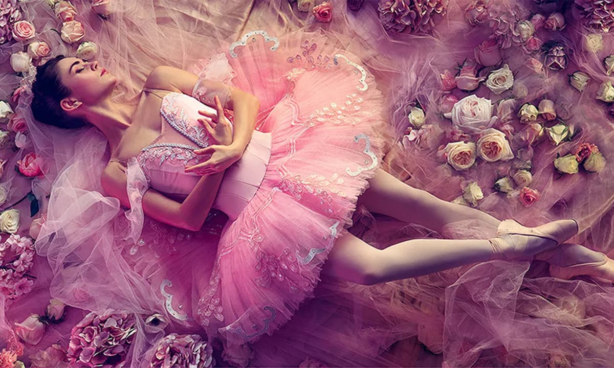 Sleeping Beauty