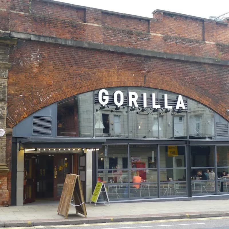 Manchester Gorilla